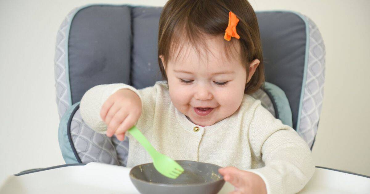 toddler enjoying solid foods from bowl in high chair